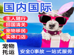 襄阳刘集航空货运国际宠物托运 【国